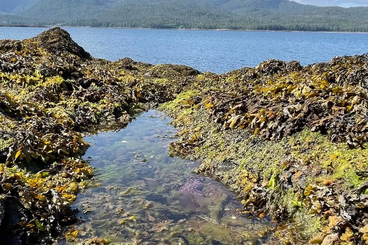 a rocky shore next to a body of water