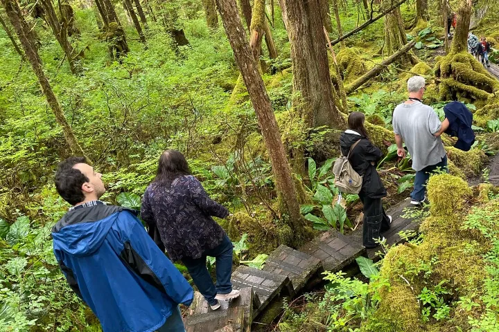a group of people in a forest